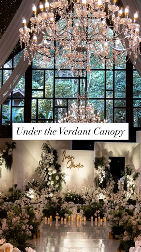 Under the Verdant Ceiling: Wedding Decoration Ideas