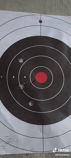 450 Bushmaster Long Range Target Shooting Guide