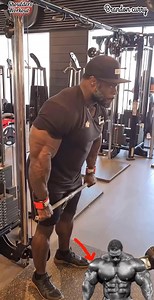 461K views · 10K reactions | Brandon Curry 2019 MrOlympia Champion✅ #arm #motivation #fitness #workout #chest | Gideon the vandals | Facebook