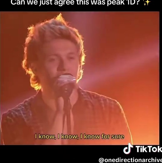 And still is🥹🤍 #onedirection #1D #stealmygirl #concert #fyp | 1d live performance