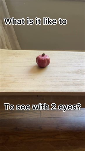 What is stereopsis like? #oneeye #stereopsis #depthperception #visualmagic