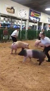 12 reactions | Garden Gallery Iron Works has lots of conversation...