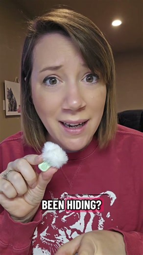 Only 17 known records of it ever existing 🖤 #AnonymousAnimal #WildlifeConservation