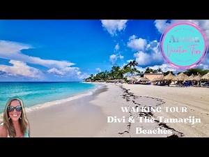 Beach Walk from Divi to Tamarijn Aruba – Explore These Beautiful Beaches!