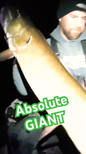 GIANT 35 lb Musky Tows my Boat at NIGHT! #musky #muskyfishing #muskie #fishing #esox #hunting