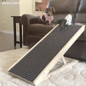 28K views · 23K reactions | Protect your Dachshund's back ❤️ A ramp...
