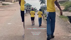 Understanding Street Traffic Dynamics in Urban Areas