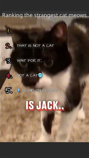 Hear the last meow and explain it 💀🔍 #ranking #viral