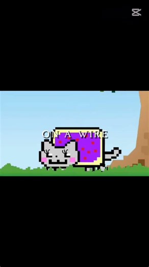 "Two Birds On A Wire..." (Original Video: Nyan Cat falls in love)#nyancat#sad#brokenheart#edit#fypシ
