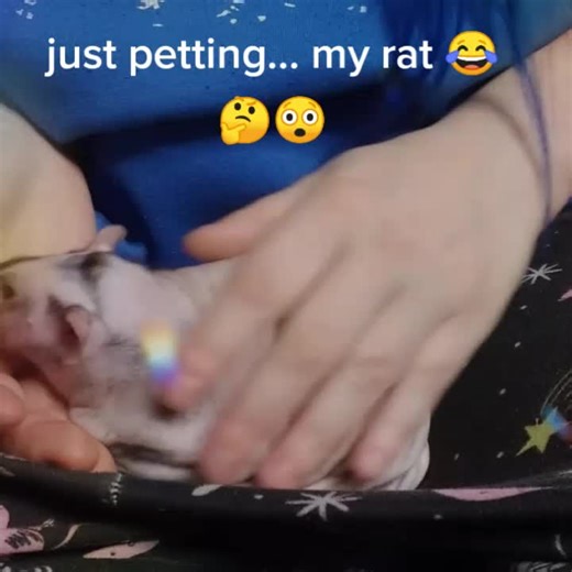 Blue Heart Rattery (@blueheartrattery)’s videos with UWU - Chevy