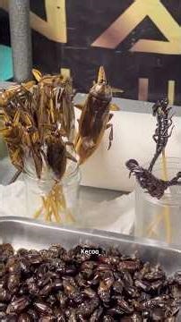 Eating Live Insects in Thailand - Scorpions, centipedes, crocodiles, cockroaches - Full video on ...