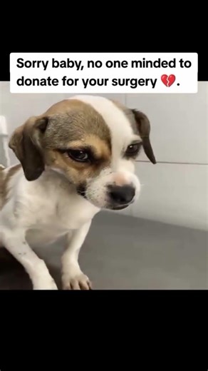 Vicky is fighting for her life 💔