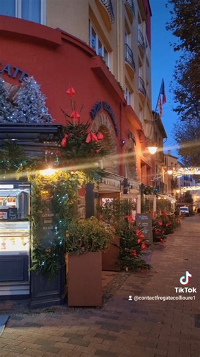 Nos vitrines de Noël sont enfin là à Collioure ! ✨ La magie des fêtes illumine notre joli village… Passez faire un tour, flânez dans les rues et venez partager un moment de fête avec nous ❤️ #NoëlÀCollioure #CollioureEnFête #EspritDeNoël #Partage #MagieLocale #collioureacteurseconomiques #absolutecollioure | Hôtel La Frégate Collioure