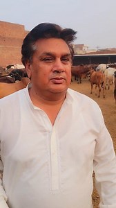 418K views · 4.8K reactions | Grand eid offer from Kamboh Cattle (Bachra) Farm in Punjab ❤️‍ | Farming Business TV | Facebook