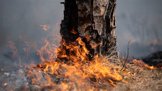 Wildfire burns at Florida-Georgia line. See updates with our tracker
