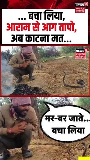 MP Man Snake Viral Video : सांप से बात करते युवक का Video हुआ Viral! | N18S | Top News | Bhind News