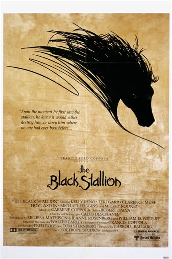 The Black Stallion: Official Clip - Boy and Horse
