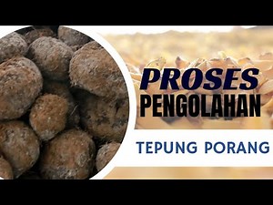 PROSES PRODUKSI DAN PENGOLAHAN PORANG