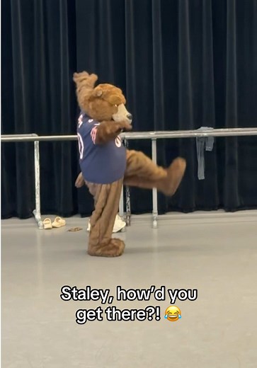 Staley Da Bear's Fun Side Quest Journey