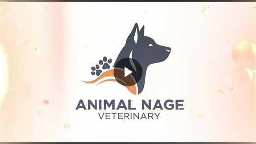 #veterinarylogo #doglogo #petcarelogo #animallogo #logodesign #modernlogo #brandingdesign #petbranding #veterinarydesign #dogbranding #logoinspiration #minimalistlogo #creativebranding #petbusiness… | Arts Graphics