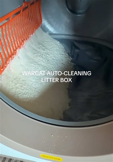 The Best Automatic Litter Box: My Top Pick After 3 Trials
