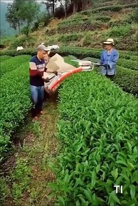 This is the best technology video ever! Amazing technology! | Egyptian Museum