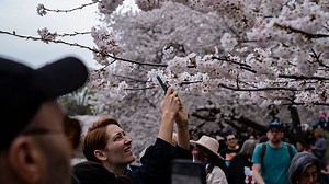 How many days until spring 2026? Here's what to know about spring equinox
