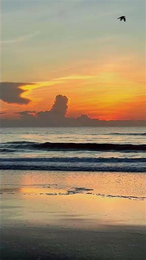 Life is So Beautiful ✨ | Powerful Beach Sunrise Motivation 🌅