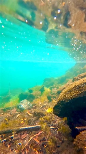 6.7K views · 160 reactions | The water here is special. It comes from underground springs that rise through old lava flows, filtered by volcanic rock until it’s crystal clear and icy cold, around 35 to 40 degrees year round. This is where the McKenzie River begins, carrying some of the purest water in Oregon. | McKenzie River Drone Photography | Facebook