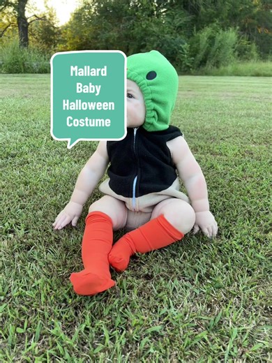 Cutest Mallard Duck Costume for Halloween