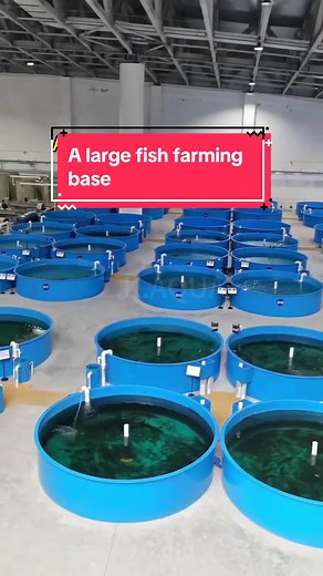 The Importance of Aquaculture Incubation System in Large Fish Farming