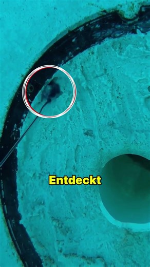 Die einfachste Methode, ein Leck zu reparieren – jemals