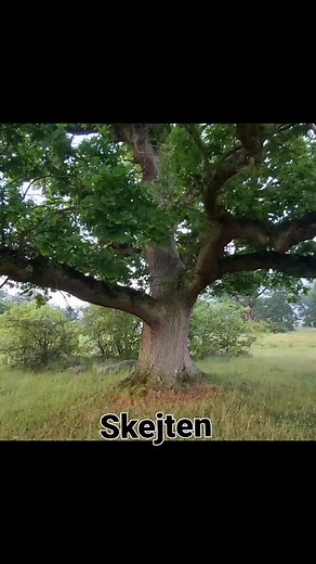 Gert Wiik on Reels | Facebook