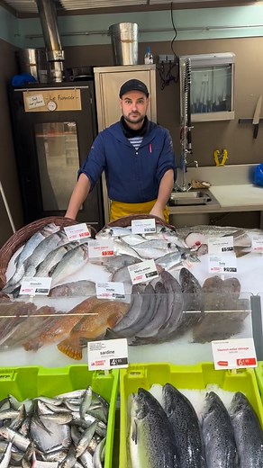 📸 Flashback à la poissonnerie ! Aujourd’hui, nos deux poissonniers ont ressorti un vieux Kodak… 📸😅 Résultat : une séance photo digne des années 90… mais avec du poisson frais de 2025 ! 😅 Pendant qu’ils jouent les photographes vintage, vous profitez de la bonne affaire du jour 👇 🐟 Saint-Pierre : 13,50€/kg dans votre Intermarché Névez ! #intermarche #nevez #Poissonnerie | Intermarché Névez