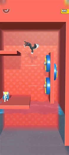 Funny Cat Flip Part 36 😂🐱 | Jump Looked Easy… Flip Said Nope 😱💥 #Shorts