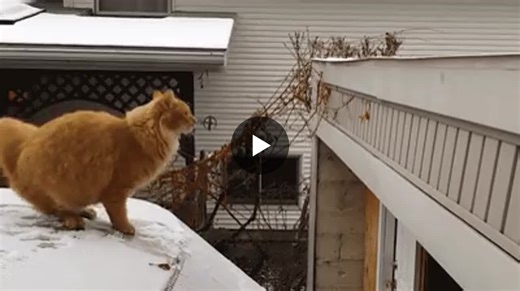 Streamlining Shop Floor Procedures for Real Results | TouchPoint Strategic Communication posted on the topic | LinkedIn