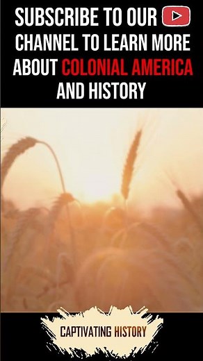 The Southern Colonies Explained #shorts