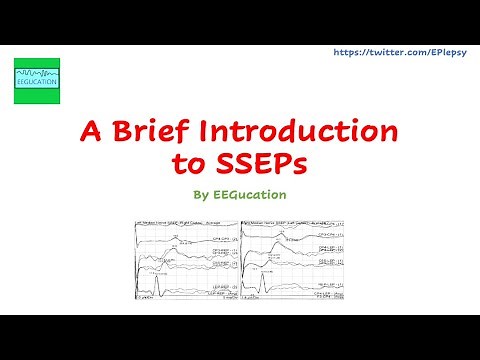 A Brief Introduction to Median SSEP's