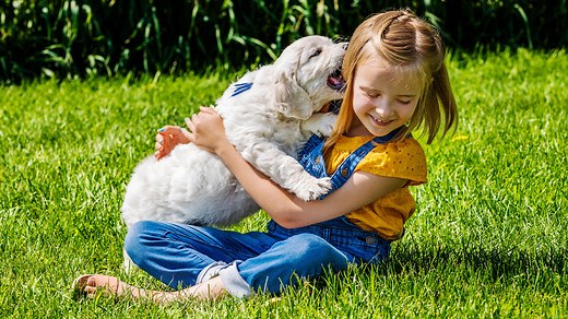 15 things you need to know about keeping children safe around dogs