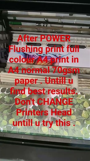Epson printers PRinter Head solution for all Don't change head just try Power Flushing