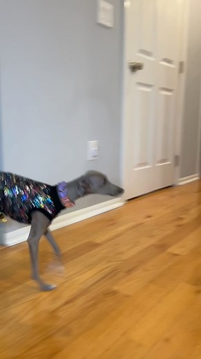 🤦🤦🤦 | X development