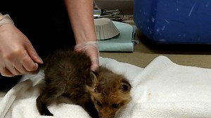 11K views · 453 reactions | We've been giving advice to so many...