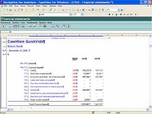 GAAP Financials: Getting Started - Navigating the Engagement Interface