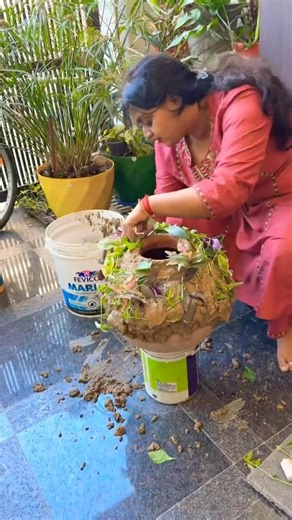 Beautiful matka planter diy #gardening #garden #nature #village #plants #india #diy #beautiful #home