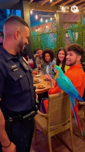 Funny Talking Parrot and Police Officer Trolling Civilian #shorts