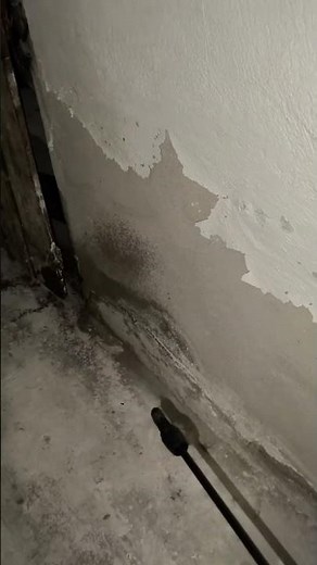 İstanbul Hamam Böceği İlaçlama | Alman Hamam Böceği Nasıl Yok Edilir? 🪳