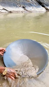 103K views · 816 reactions | VA Gold Prospects #prospectingemas #gold nugget #goldpanning #findinggemas #or... #Gold #mining #goldpanning how to do gold mining in fs22, gold mining in africa, gold mining in alaska, gold mining in california, | Afri Discovery | Facebook