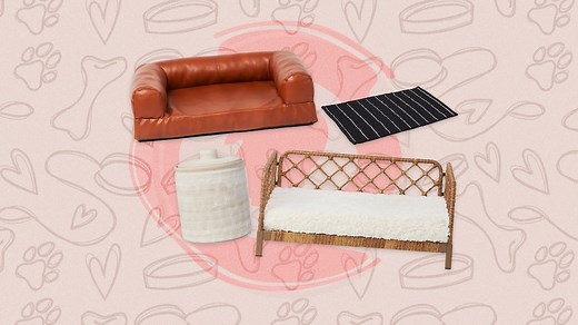 Shop the Nate   Jeremiah collection at PetSmart for chic pet furniture and more