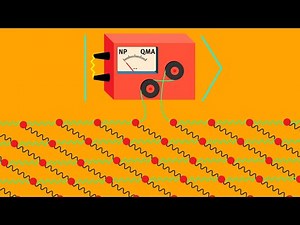 Learning Shallow Quantum Circuits and Quantum States Prepared by Shallow Circuits in Polynomial Time