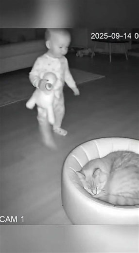 Baby Cuddles with Cat Caught on Night Vision